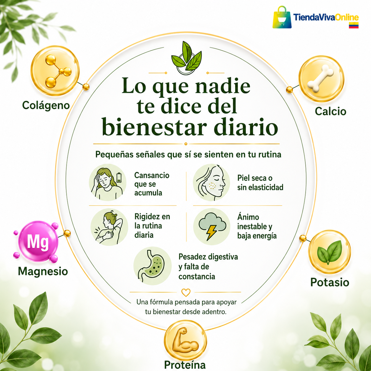 Colágeno Hidrolizado con Citrato de Magnesio x2